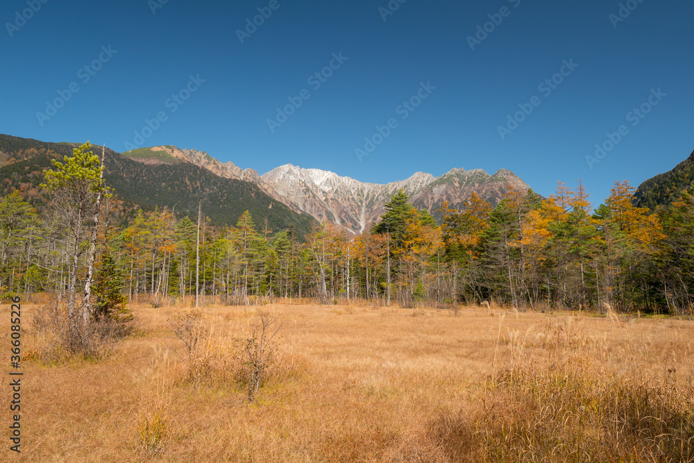 紅葉の上高地・田代湿原から見る穂高連峰 紅葉の上高地・田代湿原から見る穂高連峰