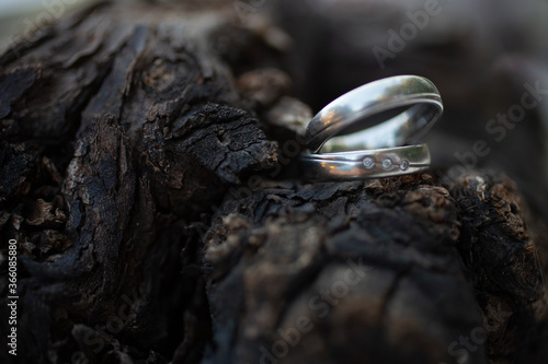 Wedding silver rings on a wooden surface