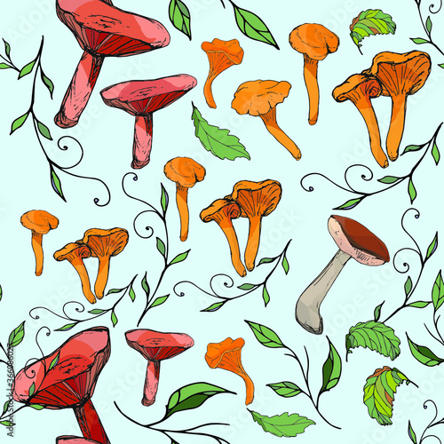 Edible vegetarian mushrooms, organic mushrooms, seamless pattern, vector illustration. Chanterelles, Lactárius rúfus,