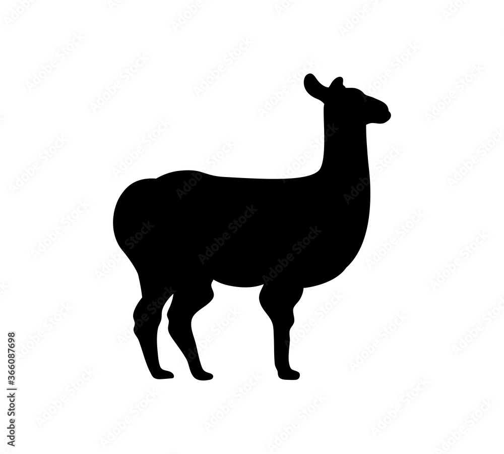 Silhouette of a standing llama, side view. Vector illustration isolated on the white background. Silhouette of a standing llama, side view. Vector illustration isolated on the white background.