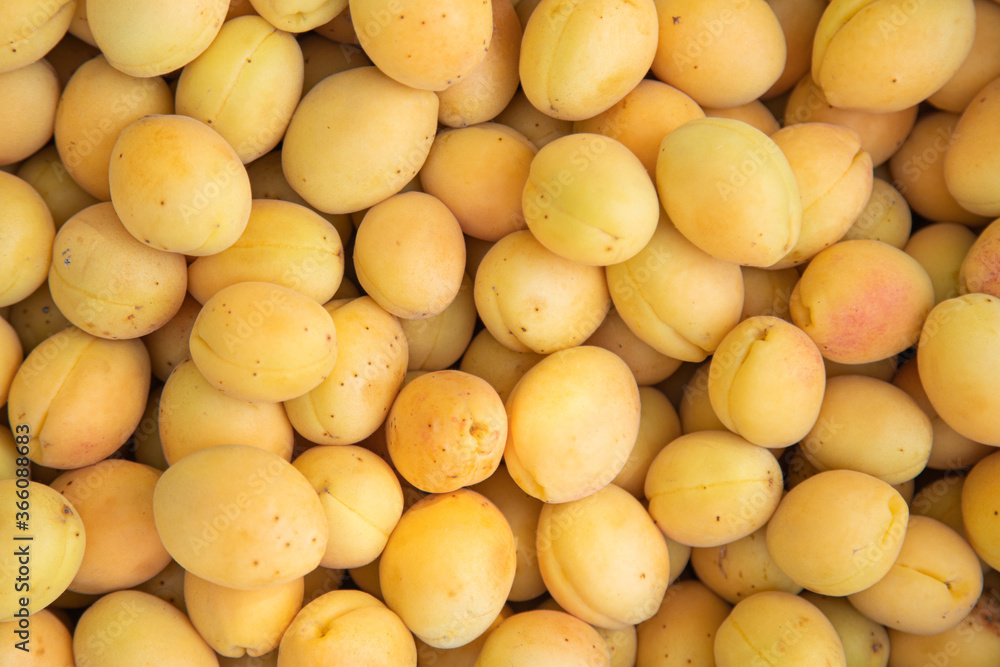 fresh ripe yellow apricot close up, apricot background fresh ripe yellow apricot close up, apricot background