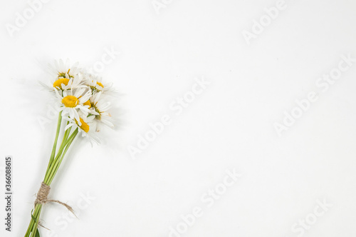 a bouquet of daisies on a white background in the left part of the image ,isolated. © Дмитрий Абрамов