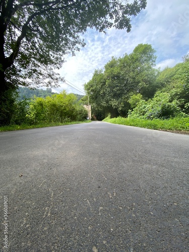 road in the forest