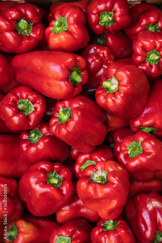 Red bell peppers on a counter in the supermarket. A large number of red peppers in a pile