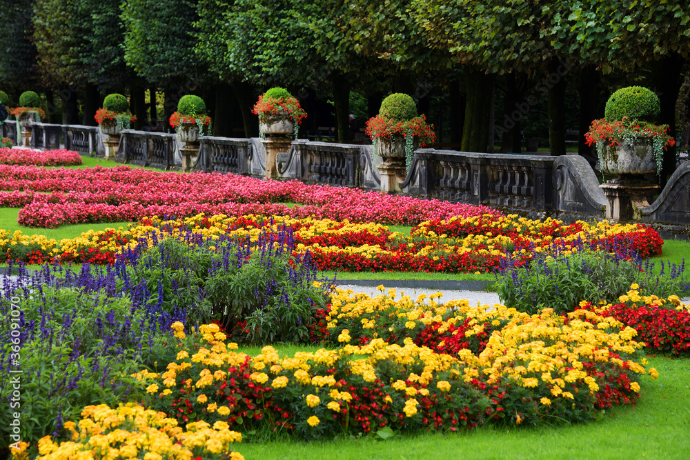 Obraz premium Flowers in Mirabell Gardens in Salzburg, Austria, Europe