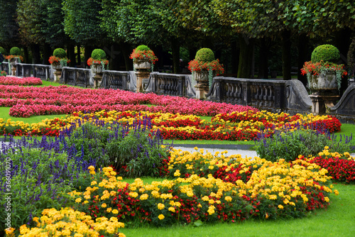 Flowers in Mirabell Gardens in Salzburg, Austria, Europe