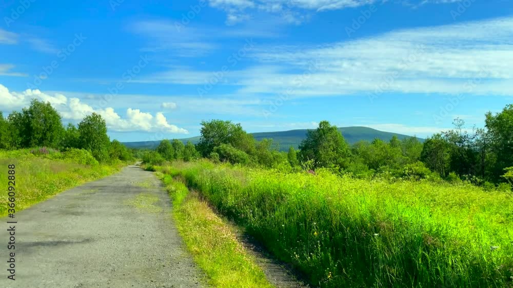 A beautiful deciduous forest with wildflowers and tall trees. Video about a family vacation outside the city by car. Shooting in 4K resolution A beautiful deciduous forest with wildflowers and tall trees. Video about a family vacation outside the city by car. Shooting in 4K resolution