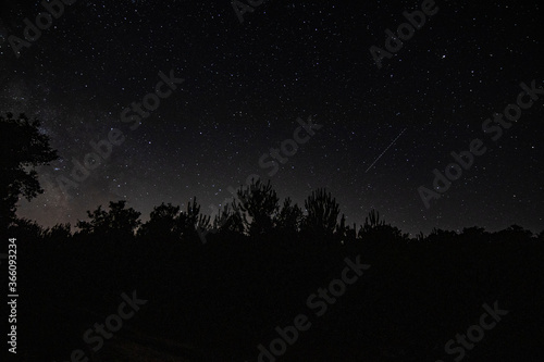 Fotografia escelar obtenida en la zona de bosque de Soustons, Landes