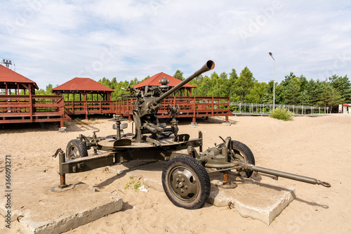 Obraz na płótnie Old cannon at Bledowska Desert near