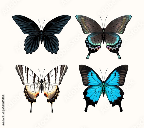 Vector set of high detailed tropic butterflies