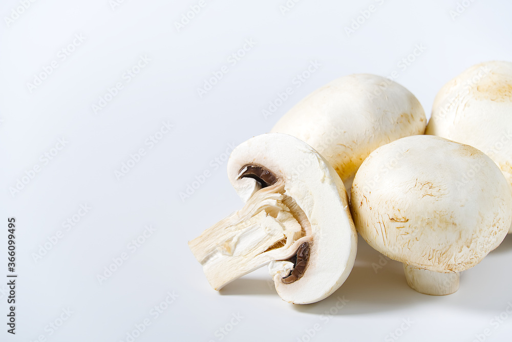 Fototapeta premium Fresh champignon mushrooms macro shoot. Close-up white champignon.
