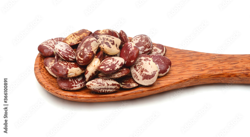 Lima Bean in spoon on white background. Large beans with a buttery
