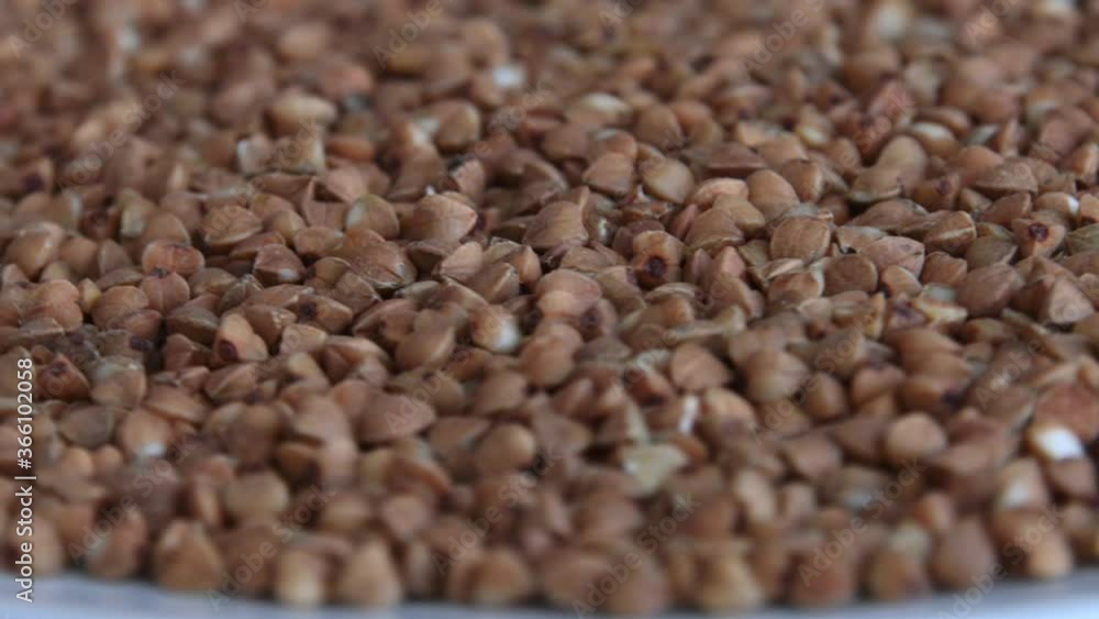 Pour raw green buckwheat into a plate. Fresh green buckwheat kernels fall into a clay brown bowl, close-up. Raw Healthy Organic Diet. The concept of healthy vegetarian eco food, diet Pour raw green buckwheat into a plate. Fresh green buckwheat kernels fall into a clay brown bowl, close-up. Raw Healthy Organic Diet. The concept of healthy vegetarian eco food, diet