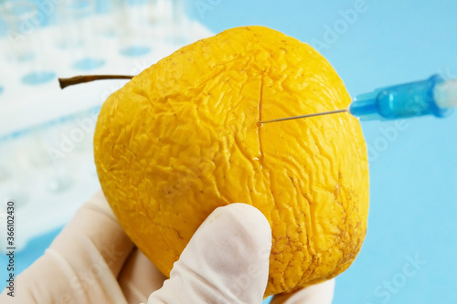 apple in genetic engineering laboratory with syringe and test tubes on blue background, gmo food concept