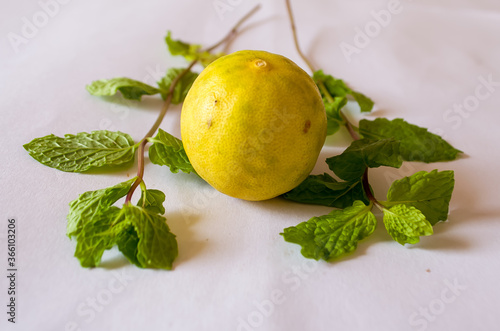 Lemon and mint leaves (Vitamin and Spice) with white background  photo