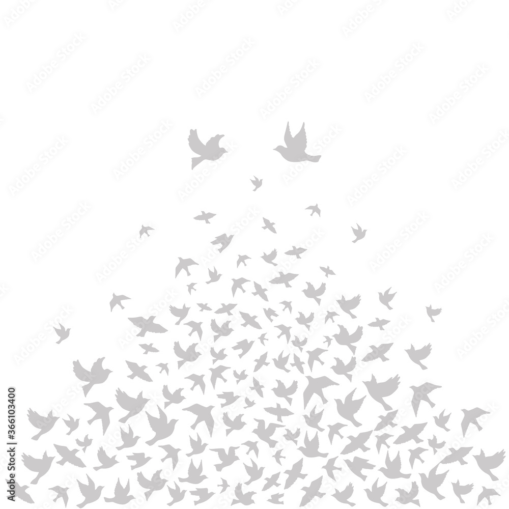 Naklejka Silhouettes of flying birds, vector illustration.