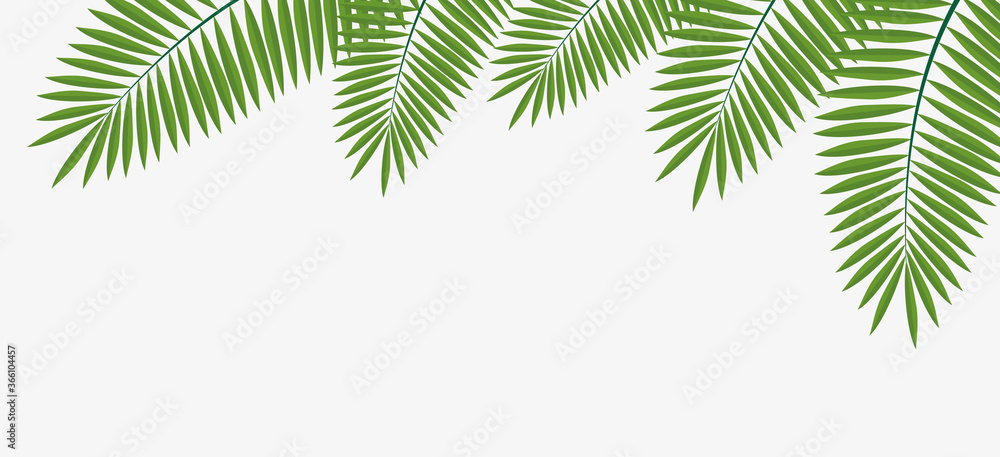 Vector illustration tropical leaves background,use for banner, business cards.Exotic design,summer background.
