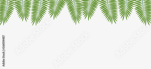 Vector illustration tropical leaves background,use for banner, business cards.Exotic design,summer background.