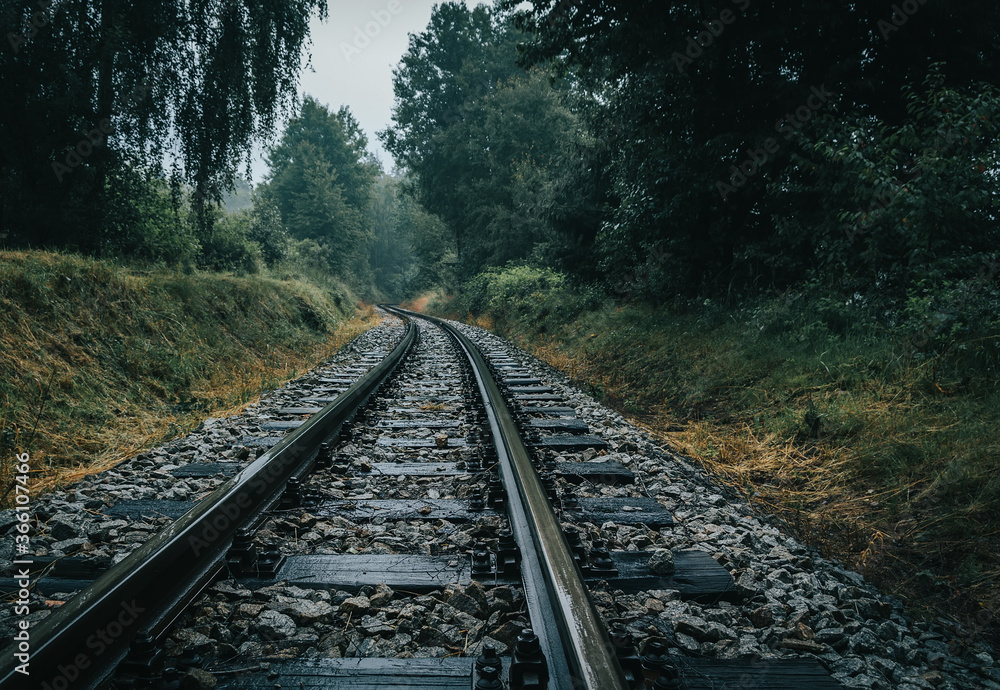 Fototapeta premium Narrow gauge rail track in forest on rain weather. Czech republic