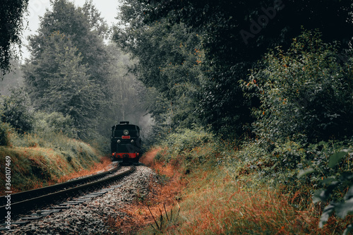 Steam engine locomotive train ride on narrow gauge track on rain forest