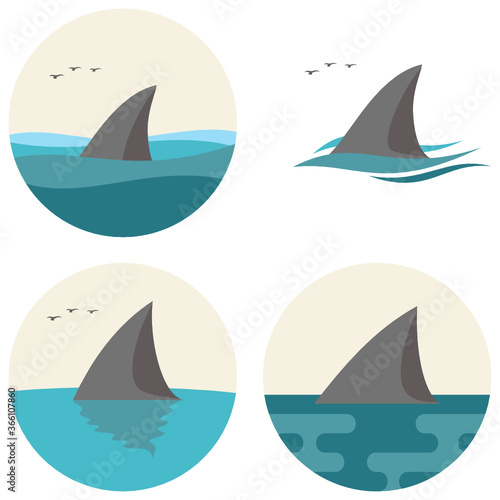 Shark Fin with Flying Seagulls