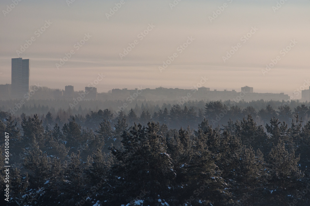 Fototapeta premium fog in the city