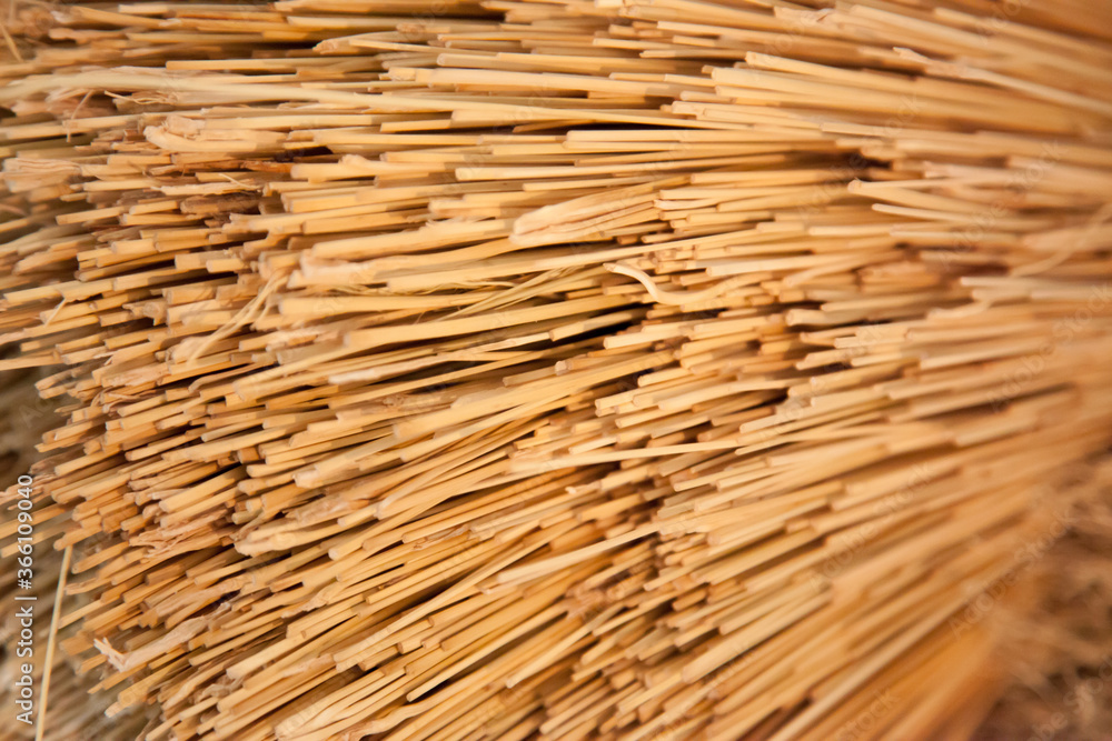 Abstract in dried straw Abstract in dried straw
