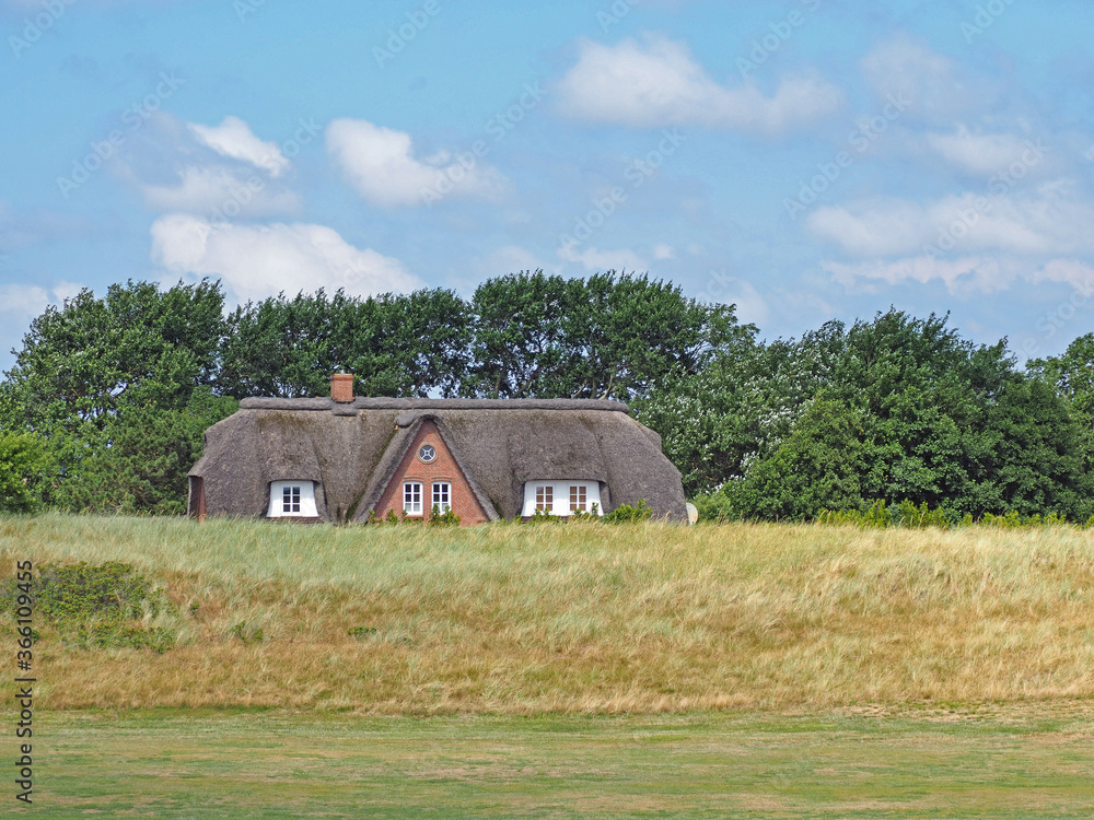 Reetdachhaus am Deich von Eiderstedt, Schleswig-Holstein, Deutschland Reetdachhaus am Deich von Eiderstedt, Schleswig-Holstein, Deutschland