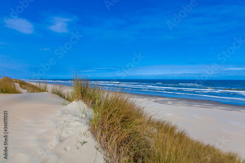 Fototapeta Naklejka Na Ścianę i Meble -  Beach, dunes and sea at Ameland