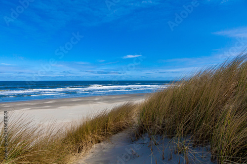 Fototapeta Naklejka Na Ścianę i Meble -  Beach, dunes and sea at Ameland