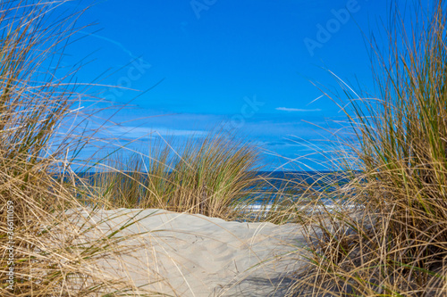 Beach, dunes and sea at Ameland photo