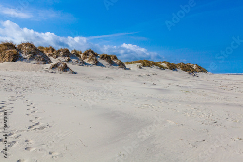 Beach  dunes and sea at Ameland