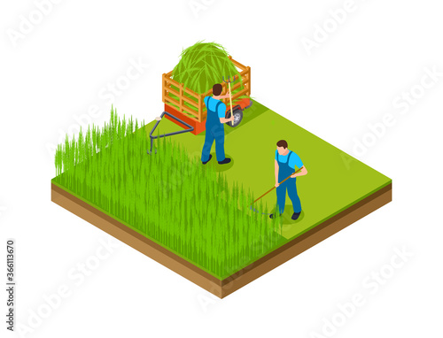 Hay season. Men mow grass, make area for garden. Isometric gardening, agriculture or farming vector illustration. Agriculture farming, season countryside summer