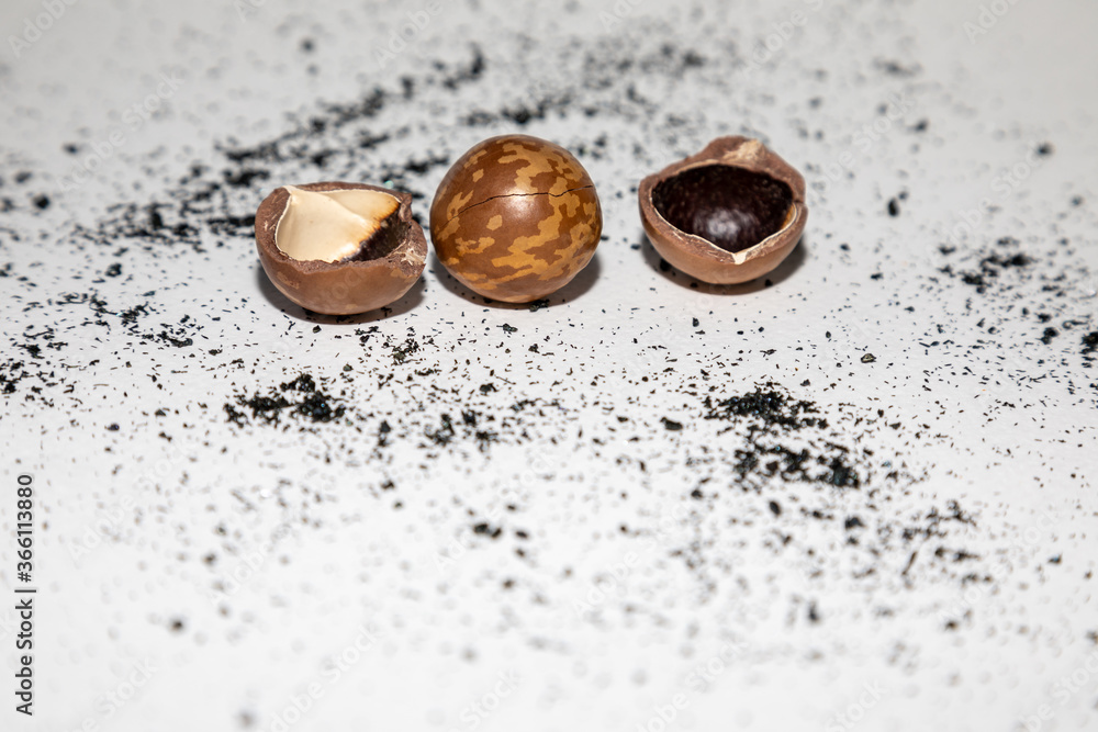 Macadamia Shell With potassium permanganate Macadamia Shell With potassium permanganate
