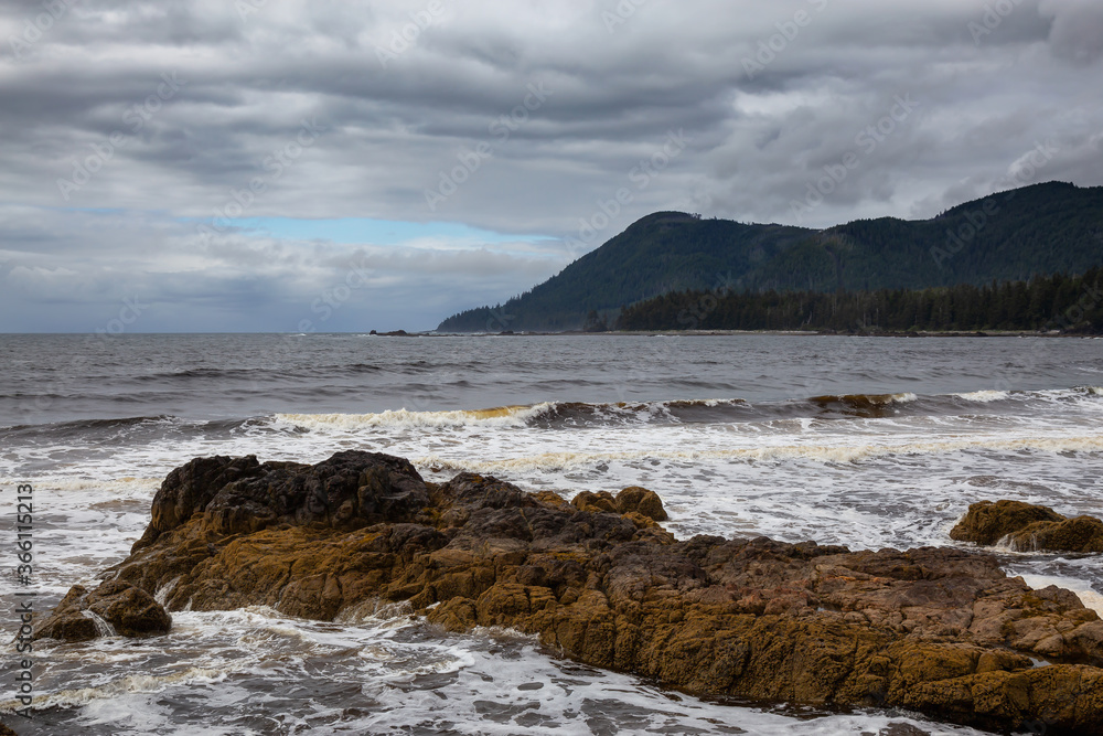 Beautiful View of West Pacific Ocean Coast on the Northern Vancouver Island during a cloudy morning. Taken in Raft Cove, British Columbia, Canada. Nature Background Beautiful View of West Pacific Ocean Coast on the Northern Vancouver Island during a cloudy morning. Taken in Raft Cove, British Columbia, Canada. Nature Background