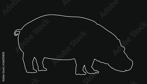 Hippopotamus, hippo line contour vector isolated on black background. Big animal from Africa.