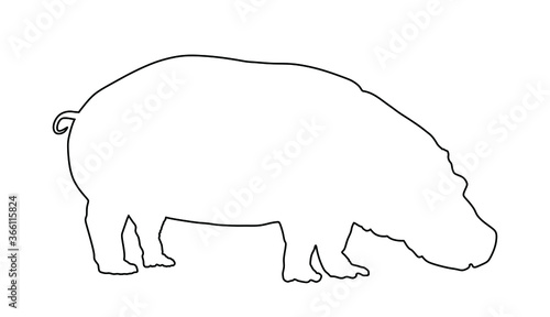 Hippopotamus, hippo line contour vector isolated on white background. Big animal from Africa.