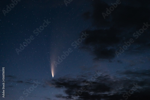 Obraz na płótnie View of the C/2020 F3 (NEOWISE) comet close-up at night among the stars. The brightest C/2020 F3 (NEOWISE) comet in the last few years. Large dusty tail of a C/2020 F3 (NEOWISE) comet close-up . w salonie