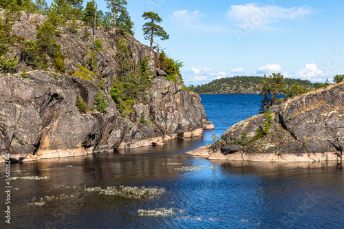 Granite rocky coast and pine tree forest.