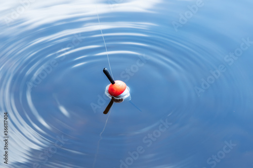 Photography Fishing float in the blue water