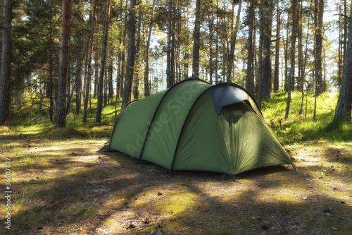 Camping green tent in national park at summer nature. Tourist tent in sunny forest. Adventure, travel and outdoors background. Camping life concept
