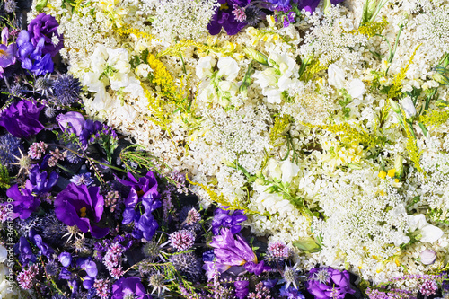 Beautiful autumnal white and purple flowers background. Top view