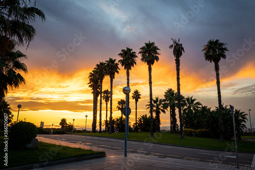 A circle of palms with a beautiful cloudy blue sky