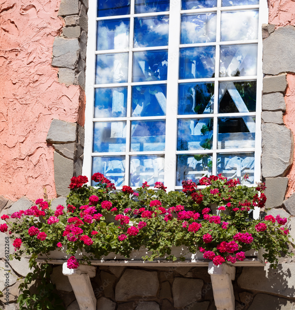 Image of a window in an old house and flowers in front of the window. House in a European city.