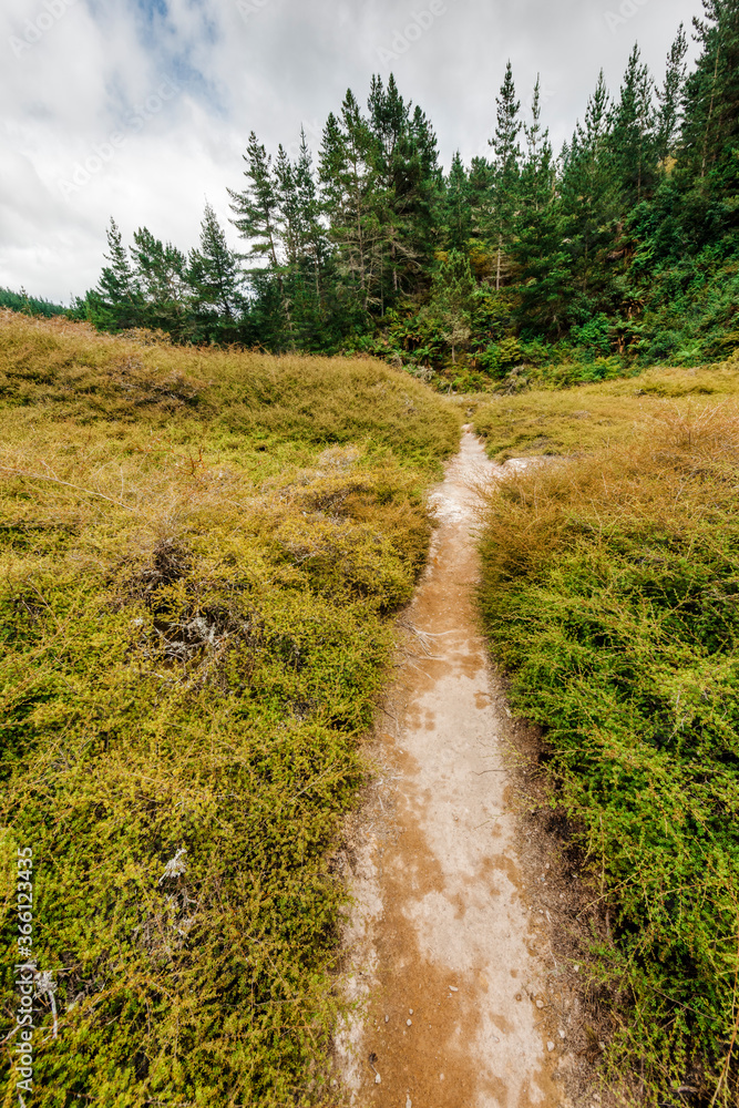 Hiking trail in New Zealand Hiking trail in New Zealand