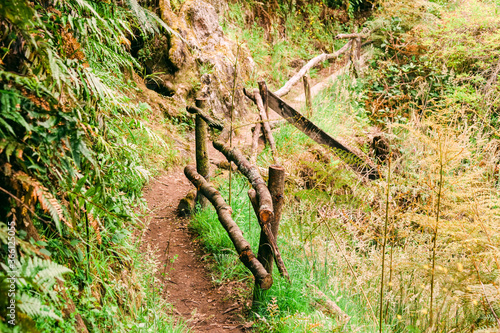 Hiking trail with wooden railing