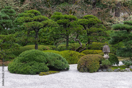Trees in a Japanese Garden, Portland, OR