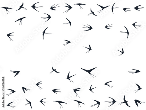 Flying martlet birds silhouettes vector illustration. Migratory martlets bevy isolated on white. 