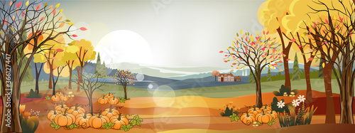 Fantasy panorama landscapes of Countryside in autumn,Panoramic of mid autumn with farm field, mountains,pumpkins and leaves falling from trees in yellow foliage. Wonderland landscape in fall season