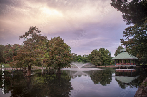 Tranquil Early Morning Scene at Girard Park in Lafayette Louisiana